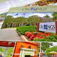Viewbook